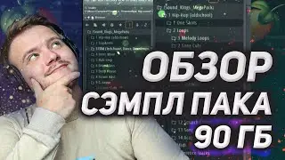Обзор на самый ГИГАНТСКИЙ сэмпл пак. 24 жанра и 90 гб отборного мяса