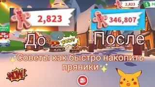 Советы как быстро накопить пряники😁
