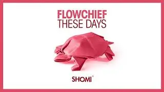 Flowchief - These Days