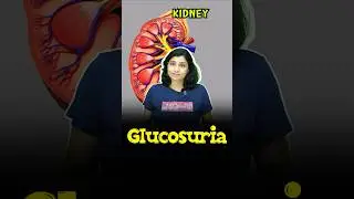 ye Glucosuria kya hai bacho? 