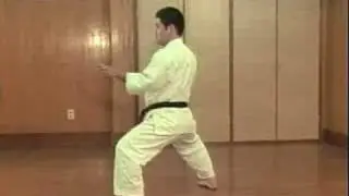 Sesan bunkai