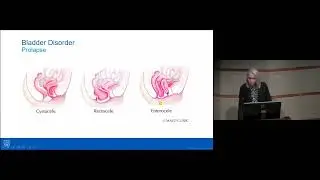 Urology Review | Conference Review
