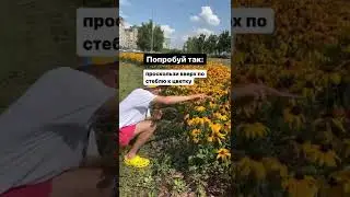 Идея как снять цветы красиво😍🌸 Ещё больше идей в моем инста airat_shakurov😉