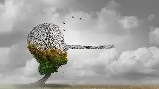 Imposter Syndrome: The Illusion of Belonging