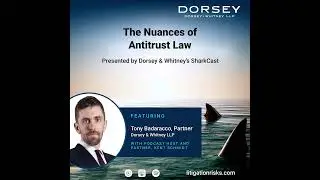 The Nuances of Antitrust Law
