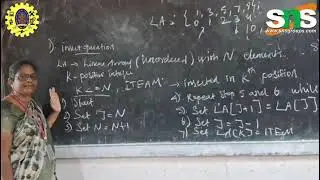 Insert  operation/SNSCT/Data structures