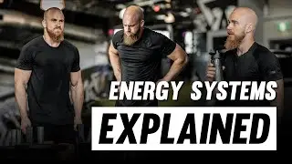 Combat Sports Cardio: Energy Systems Explained in 60 Seconds!