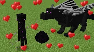 enderman ❤️ ender dragon