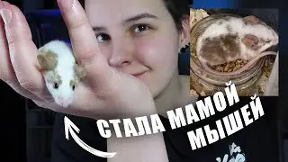 Я СТАЛА МАМОЙ (двух мышей)