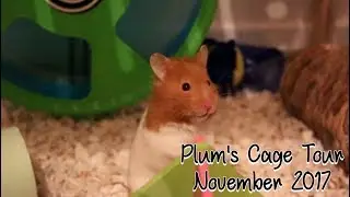 PLUM'S CAGE TOUR / NOVEMBER 2017