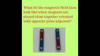 Visualizing "Invisible" Magnetic Fields