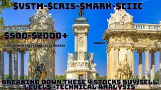 $VSTM-$CRIS-$MARK-$CIIC-$500-$2000-Technical Analysis-Buy/Sell Levels-