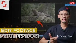 🔴 Edit Footage Animal Shutterstock