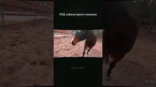⚡я всегда онлайн в телеграме - @eqvirey