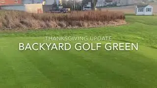 Backyard Bentgrass Green - Thanksgiving Update