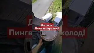 доставка пингвин эир холод!