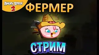 36 ★ СТРИМ ★ Комплект шляп ФЕРМЕР в Angry Birds 2 - Обзор Энгри Бердс  Злые птички