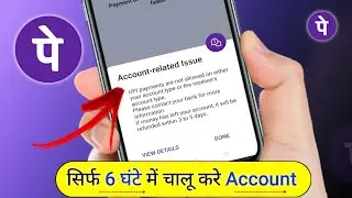 upi payment are not allowed on either your account type or the receiver account type - phonepe 2025