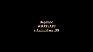 Перенос WhatsApp с Android на iPhone бесплатно без ПК #shorts