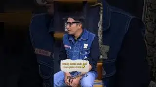 livy nopek acara desta main judi bola 