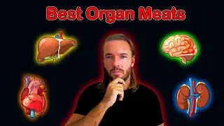 Which Organ Meats Are the Healthiest & Most Nutritious? 