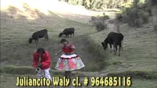 Los Walys Santiago no quiero casarme canta Mery Huaringa