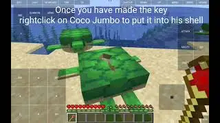 Ripples of the past Coco jumbo turtle showcase