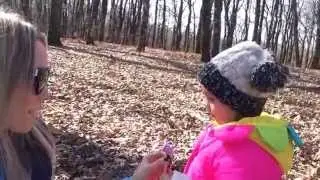 День в лесу, снег. Олимпия. Греция