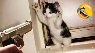 Funny animal moments that will instantly make your day better 😆