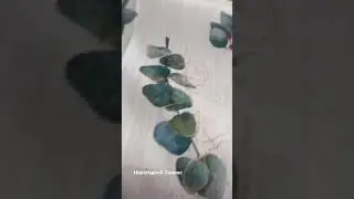 Принимаю заказы на пошив новогодних #скатертей.