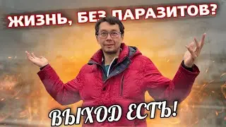 Вытрави Паразитов из организма (экс монах)