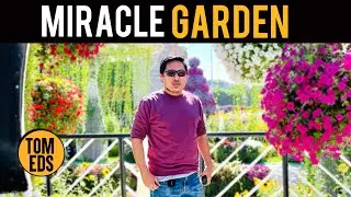 Dubai Miracle Garden 2021 | Place to Visit in Dubai