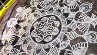 Festival rangoli no 2 🌺 Daily kolam 🌺 Big rangoli design 🌺 Traditional muggulu