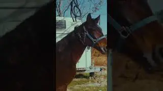 Old town road