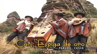 CONJUNTO ESPIGA DE ORO DE PARURO - LINDA CUSQUEÑITA