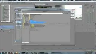 Tutorial - How to organize presets in Sony Vegas Pro!