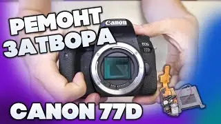 Canon 77D ремонт затвора