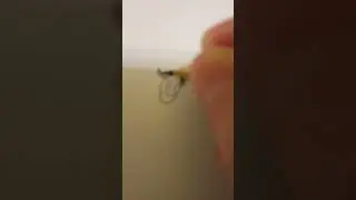 как рисовать мангу😉
