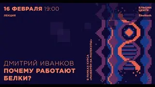 Дмитрий Иванков. Почему работают белки?