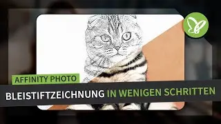 Affinity Photo-Tutorial: Best of Hacks – Bleistiftzeichnung in wenigen Schritten