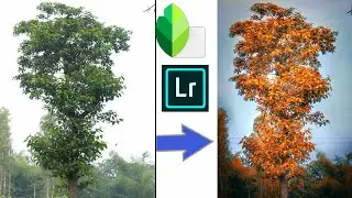 Snapseed Edits & Adobe Lightroom Photo Edit Mobile || Snapseed Photo Edit 