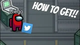 HOW TO GET THE TWITTER, DISCORD AND FACEBOOK PETS ON AMONG US 2021!!