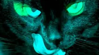 The wildcat - Porter Robinson [VJ vorteX]
