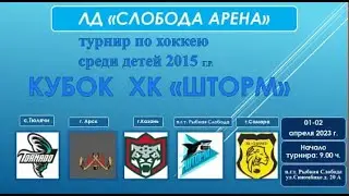 Ак Барс (Казань) - Шторм (пгт. Рыбная Слобода)
