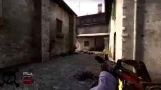 CS:GO Zenzyg ACE x2