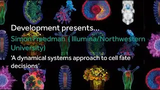 Development presents... Simon Freedman
