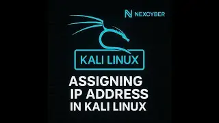 How to Assign IP Address in Kali Linux | Step-by-Step Networking Guide