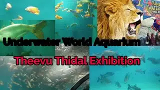 Chennai Exhibition || Theevu Thidal Exhibition
