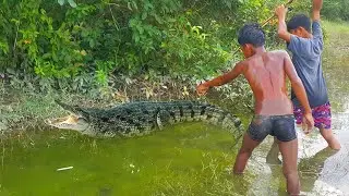 Awesome!!! Braver Boys Catching a Crocodile (free hands) | Shocking Fishing Met Crocodile