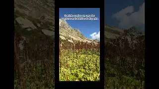 UM DOS LUGARES MAIS BONITOS DA ESPANHA! #europa #espanha #españa #natureza #trekking #pirineos #trip